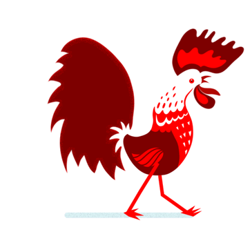 Walking Rooster